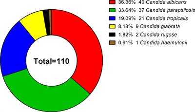 Molecular Epidemiology, Antifungal Susceptibility, and Virulence Evaluation of Candida Isolates Causing Invasive Infection in a Tertiary Care Teaching Hospital